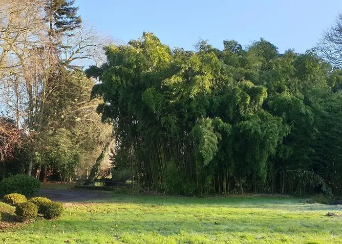 Maison d'hôtes La Des Arts Savigne-l'Eveque